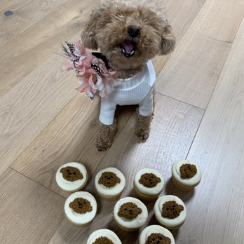 Sibby's Cupcakery - Cupcake for @toytofu dog pawty - Cupcakes Near Me - San Mateo, California Sibby's Cupcakery - Cupcake for @toytofu dog pawty - Cupcakes Near Me - San Mateo, California