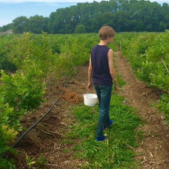 Johnson's Farm Produce - Fruits & Veggies Near Me - Hobart, Indiana