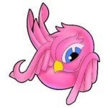 Birds Eye View - The bird is the word!! - Head Shops Near Me - Niles, Michigan