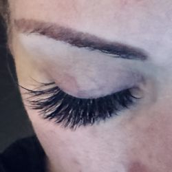 The Lash Asylum 
