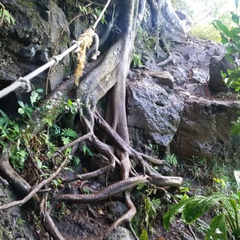 Waimano Loop Trail - There were a few rope sections. - Hiking Near Me - Pearl City, Hawaii