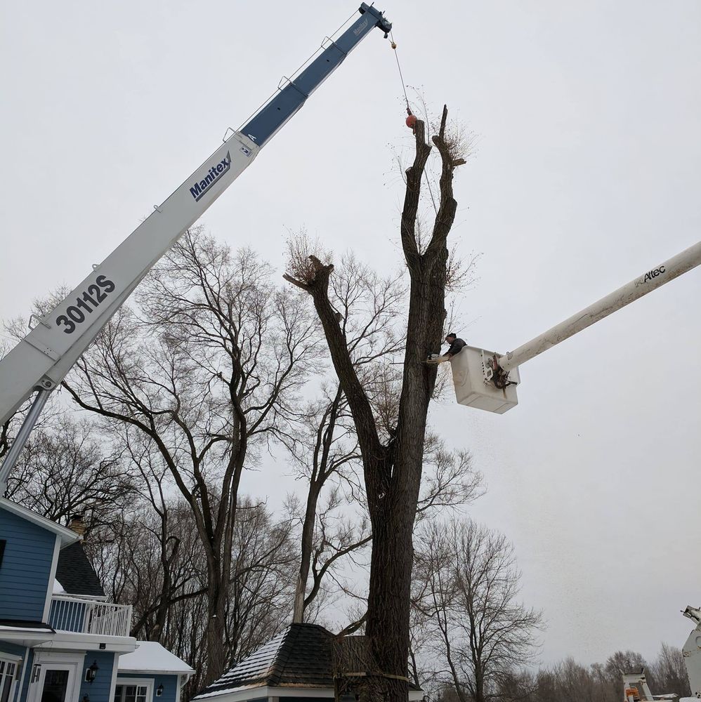 Trees By Forrest - tree service in Corcoran, MN