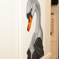 Pearl Med Spa & Laser Center