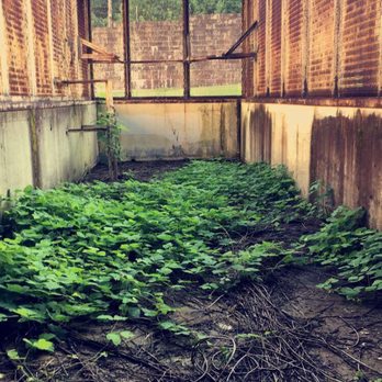 Historic Brushy Mountain State Penitentiary - Historical Tours Near Me - Petros, Tennessee