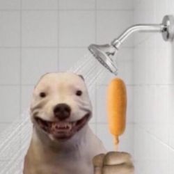 Eastmont High School - showers