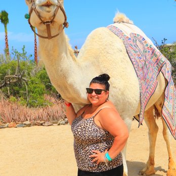 Cabo Adventures - Boat Tours Near Me - Cabo San Lucas, BCS Cabo Adventures - Boat Tours Near Me - Cabo San Lucas, BCS