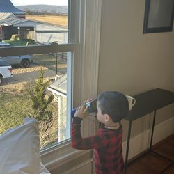 Madeline Farms - Looking for Tiger the cat