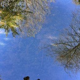 Reflection in stream Reflection in stream