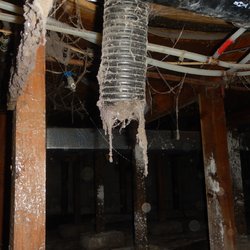 Scott B. Moore Inspection & Construction - Improper dryer vent