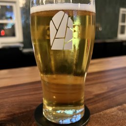 Kolsch Pint Kolsch Pint