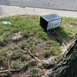 Affinity Property Mangement - Trashy areas no maintenance clean up on property