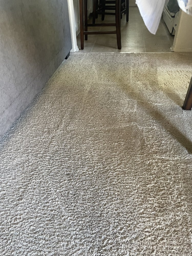 SECURED CARPET CLEANING & FLOOR CARE Updated August 2024 11 Photos
