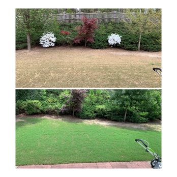 TruGreen Lawn Care - My backyard. Above is April 2019, below is June 2019. - Tree Services Near Me - Suwanee, Georgia TruGreen Lawn Care - My backyard. Above is April 2019, below is June 2019. - Tree Services Near Me - Suwanee, Georgia