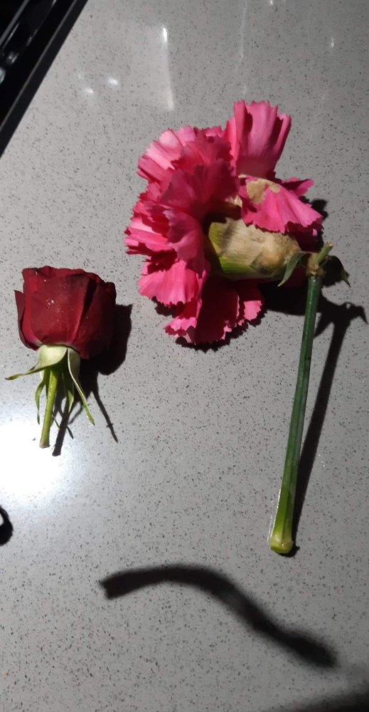 FLEUR CONCEPT Updated September 2024 10 Reviews 263 Rue Saint