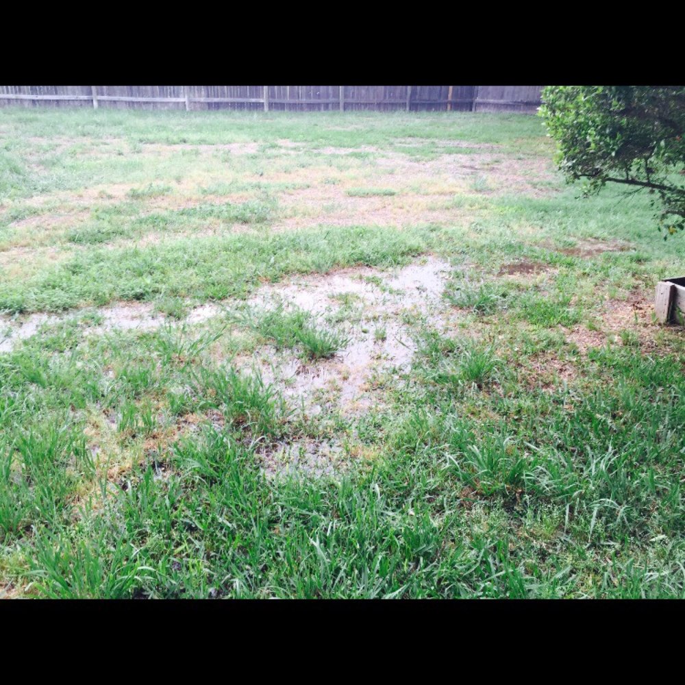 Go With the Flow Irrigation - Flooded backyard issues due to business mistake and incompetence! Proof that you should not do business with this company!!! - Irrigation Near Me - Austin, Texas Go With the Flow Irrigation - Flooded backyard issues due to business mistake and incompetence! Proof that you should not do business with this company!!! - Irrigation Near Me - Austin, Texas