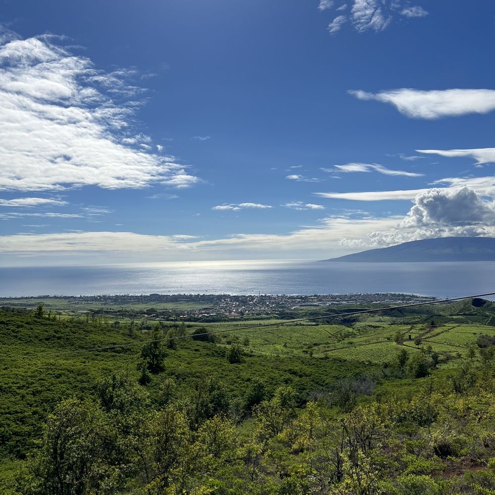 Skyline Hawaii - Best view of zip line ! - Tours Near Me - Kahului, Hawaii Skyline Hawaii - Best view of zip line ! - Tours Near Me - Kahului, Hawaii