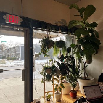 Florin Coffee - plants - Coffee & Tea Near Me - Columbus, Ohio Florin Coffee - plants - Coffee & Tea Near Me - Columbus, Ohio