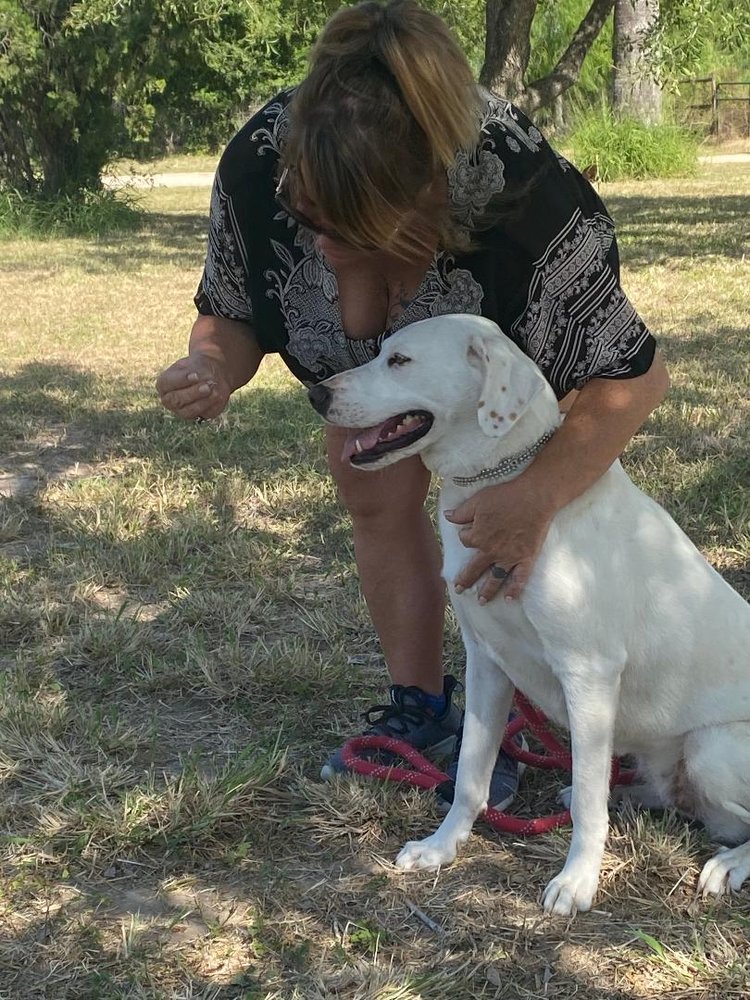 Living Life Therapeutic Services - grief counselor in South Padre Island, TX