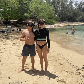 Hawaii Turtle Tours - Snorkeling - Tours Near Me - Honolulu, Hawaii Hawaii Turtle Tours - Snorkeling - Tours Near Me - Honolulu, Hawaii