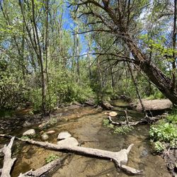 Hull's Gulch Interpretive Trail