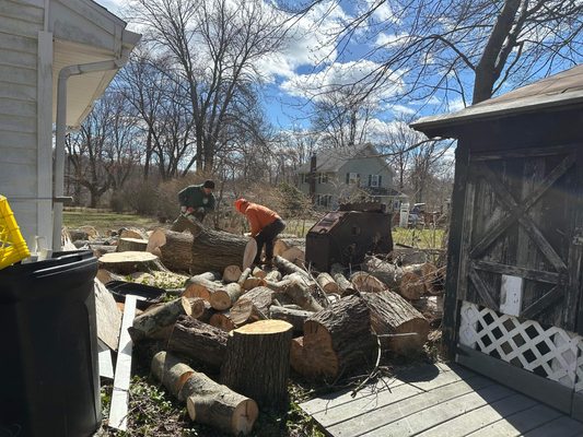 Tree Removal Project - Winsted, CT - Our team was hired to remove a tree in Winstead, CT. Tree Removal Project - Winsted, CT - Our team was hired to remove a tree in Winstead, CT.