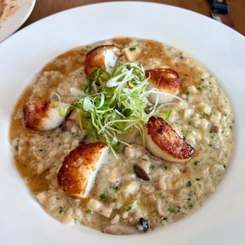 Cafe Hiro - Scallops risotto - Italian Near Me - Cypress, California Cafe Hiro - Scallops risotto - Italian Near Me - Cypress, California
