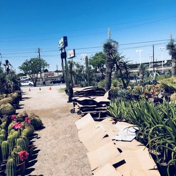 The Cactus King - Nurseries & Gardening Near Me - Houston, Texas