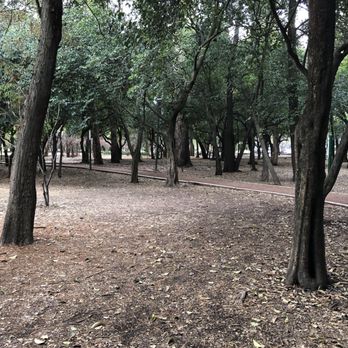 Bosque de Chapultepec - Parks Near Me - Ciudad de México, DIF Bosque de Chapultepec - Parks Near Me - Ciudad de México, DIF