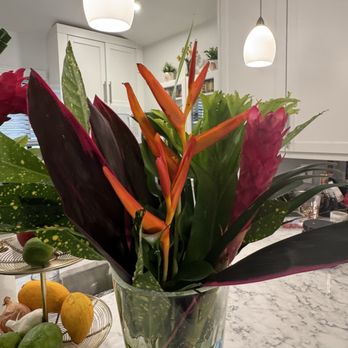 Plum Market - 1/2 of the Tropical bouquet $39 - Grocery Near Me - Palm Beach Gardens, Florida Plum Market - 1/2 of the Tropical bouquet $39 - Grocery Near Me - Palm Beach Gardens, Florida