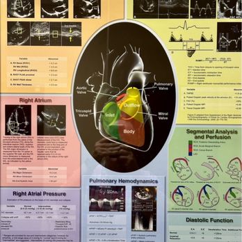 Temecula Valley Cardiology - Um, maybe too much information? - Cardiologists Near Me - Murrieta, California Temecula Valley Cardiology - Um, maybe too much information? - Cardiologists Near Me - Murrieta, California