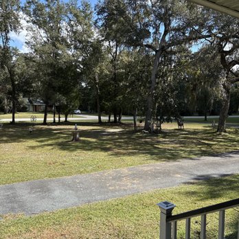 T & J Land Services - Lawn mowing, tree cutting, removal of debris. 5 stars - Tree Services Near Me T & J Land Services - Lawn mowing, tree cutting, removal of debris. 5 stars - Tree Services Near Me