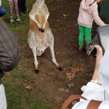 Fall City Wallaby Ranch - Ranches Near Me - Fall City, Washington