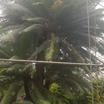 Lincoln Park Conservatory - Parks Near Me - Chicago, Illinois Lincoln Park Conservatory - Parks Near Me - Chicago, Illinois