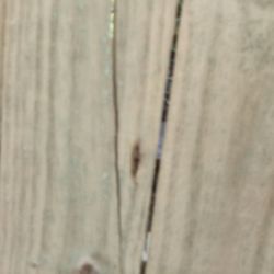 B Squared Fencing and Outdoors
