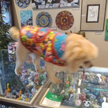 Gathering Glass Designs - Lady buffington the love of my life - Vape Shops Near Me - Bellingham, Washington Gathering Glass Designs - Lady buffington the love of my life - Vape Shops Near Me - Bellingham, Washington