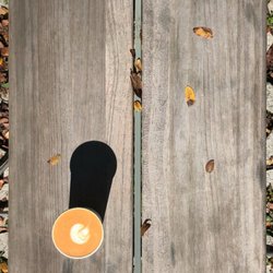 Take Care Coffee - Cortado at Pease Park