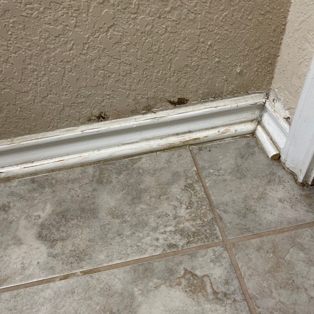 Advanced Foundation Repair - Black mold from busted pipe they denied fixing for 5 days. - Plumbing Near Me - Dallas, Texas Advanced Foundation Repair - Black mold from busted pipe they denied fixing for 5 days. - Plumbing Near Me - Dallas, Texas