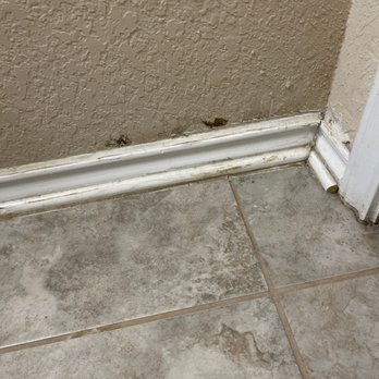 Advanced Foundation Repair - Black mold from busted pipe they denied fixing for 5 days. - Plumbing Near Me - Dallas, Texas