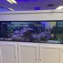 Photo of Advanced Aquatics