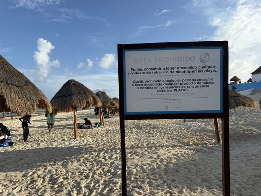 Dolphins Beach by null