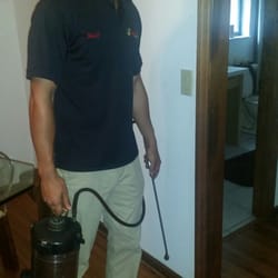 Accurate Pest Management - Inside pest control for your nuisance insects also.