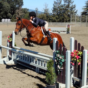 Core Equestrian - Horseback Riding Near Me - Woodside, California Core Equestrian - Horseback Riding Near Me - Woodside, California