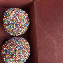 Sprinkle Cupcake