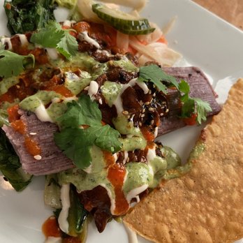Plant - Blue corn mole tamales - Vegan Near Me - Asheville, North Carolina Plant - Blue corn mole tamales - Vegan Near Me - Asheville, North Carolina