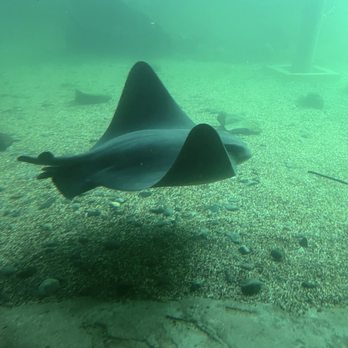 Ocean World - Aquariums Near Me - Crescent City, California