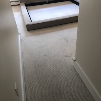 Certified Green Team - Carpet Cleaning Near Me - Waltham, Massachusetts Certified Green Team - Carpet Cleaning Near Me - Waltham, Massachusetts