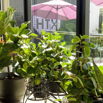 Native Coffee - Coffee & Tea Near Me - Houston, Texas Native Coffee - Coffee & Tea Near Me - Houston, Texas