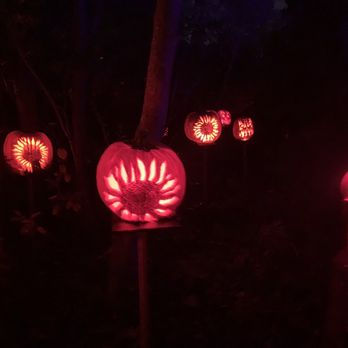 Jack-O-Lantern Spectacular - Festivals Near Me - Providence, Rhode Island Jack-O-Lantern Spectacular - Festivals Near Me - Providence, Rhode Island