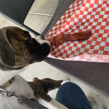 Arizona bagels n bialys - They gave my 20wk old Boxer Cheyenne her 1st ever taste of bacon! She's hooked!!!! - Bagels Near Me - Mesa, Arizona
