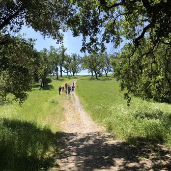 Bishop Ranch Regional Preserve - Looks like nothing here, but this hill continues to sprawl upwards & is a BEAST - Hiking Near Me